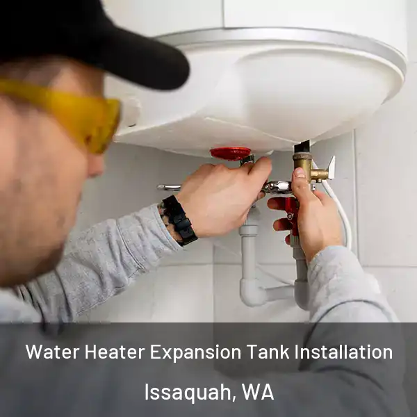  Water Heater Expansion Tank Installation Issaquah, WA