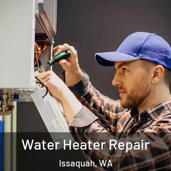  Water Heater Repair Issaquah, WA