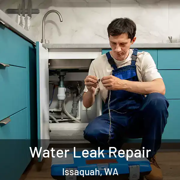  Water Leak Repair Issaquah, WA