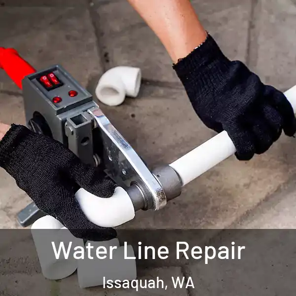  Water Line Repair Issaquah, WA