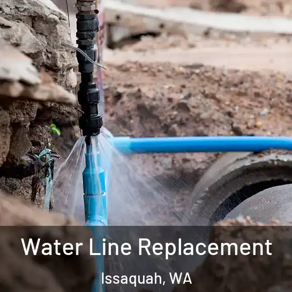  Water Line Replacement Issaquah, WA