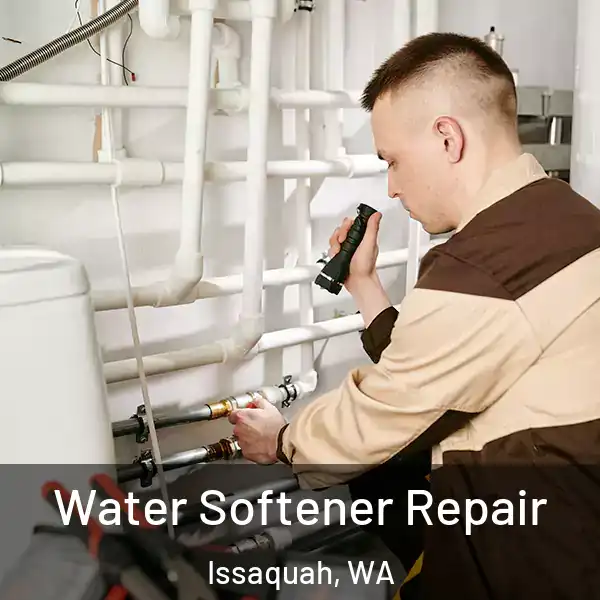  Water Softener Repair Issaquah, WA