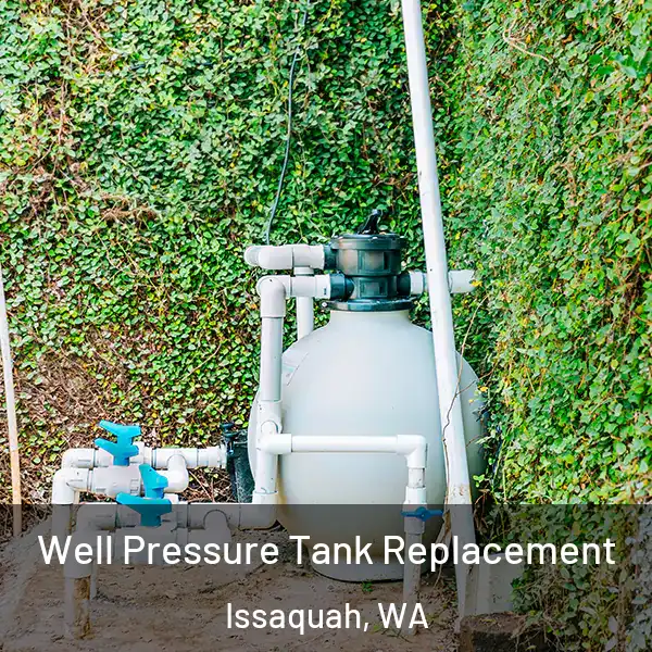  Well Pressure Tank Replacement Issaquah, WA
