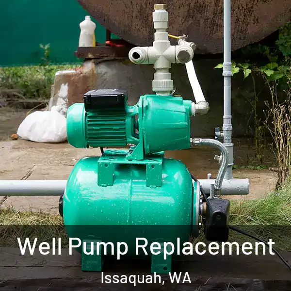  Well Pump Replacement Issaquah, WA